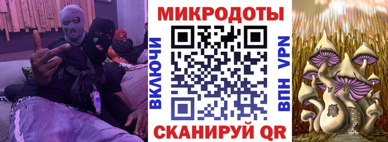Галлюциногенные грибы Psilocybe  kraken ТОР  Костерёво 